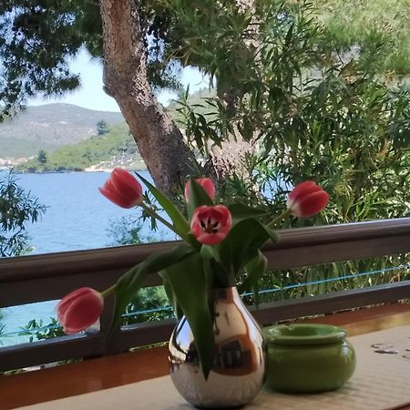 Holiday Home Milenka Rogoznica (Sibenik-Knin) Exterior foto
